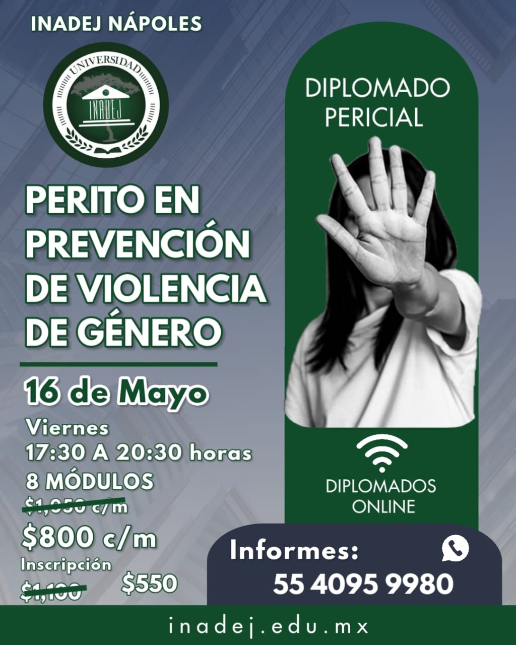 Diplomado Violencia de Genero Diplomado Violencia de Genero