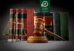 Especialidad en Derecho de Amparo