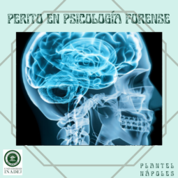 Perito en Psicología Forense