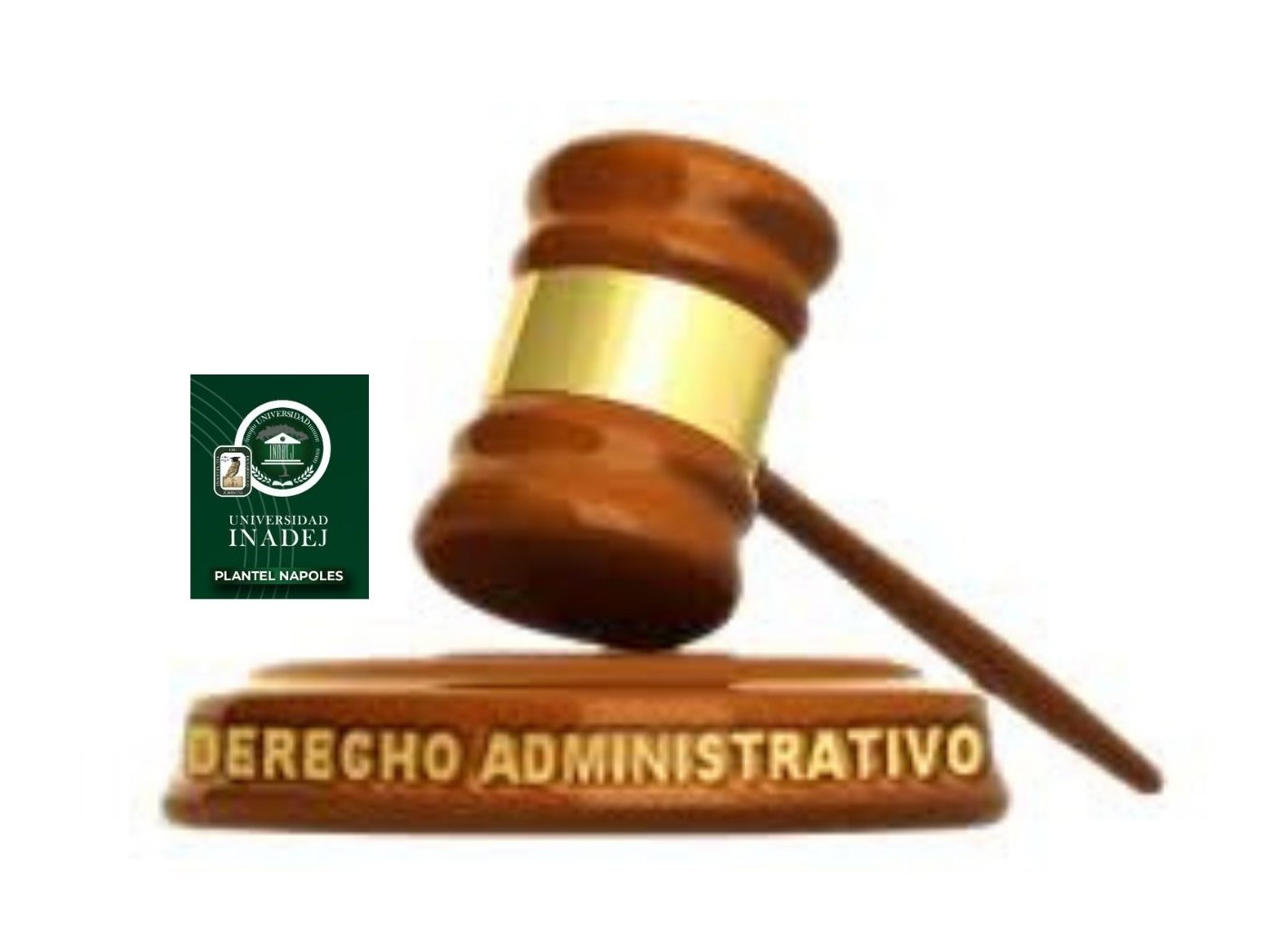 Práctica Forense de Derecho Procesal Administrativo INADEJ